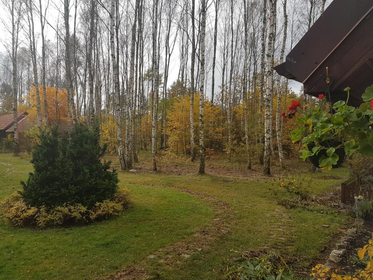 Villa Stare Osieczno Alloggio per agriturismo *